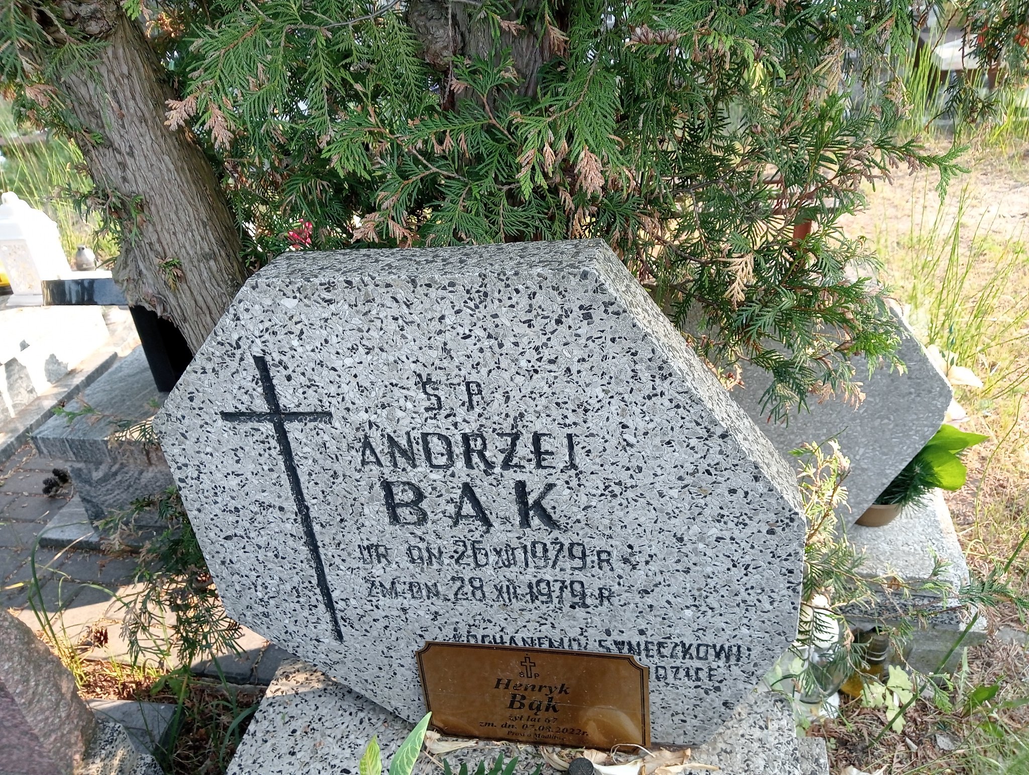 Andrzej Bąk 1979 Zielonka - Grobonet - Wyszukiwarka osób pochowanych