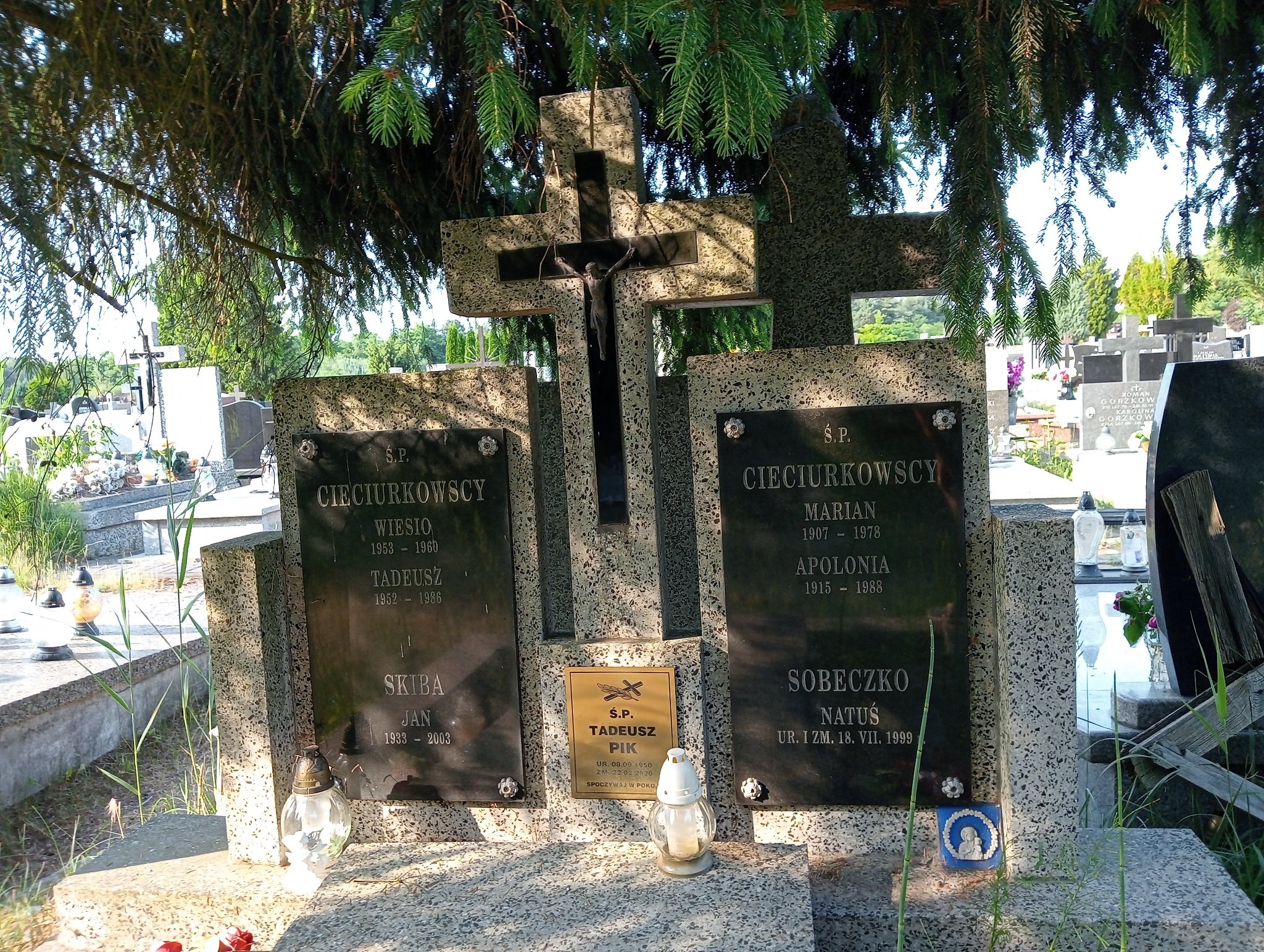 Tadeusz Pik 1950 Zielonka - Grobonet - Wyszukiwarka osób pochowanych