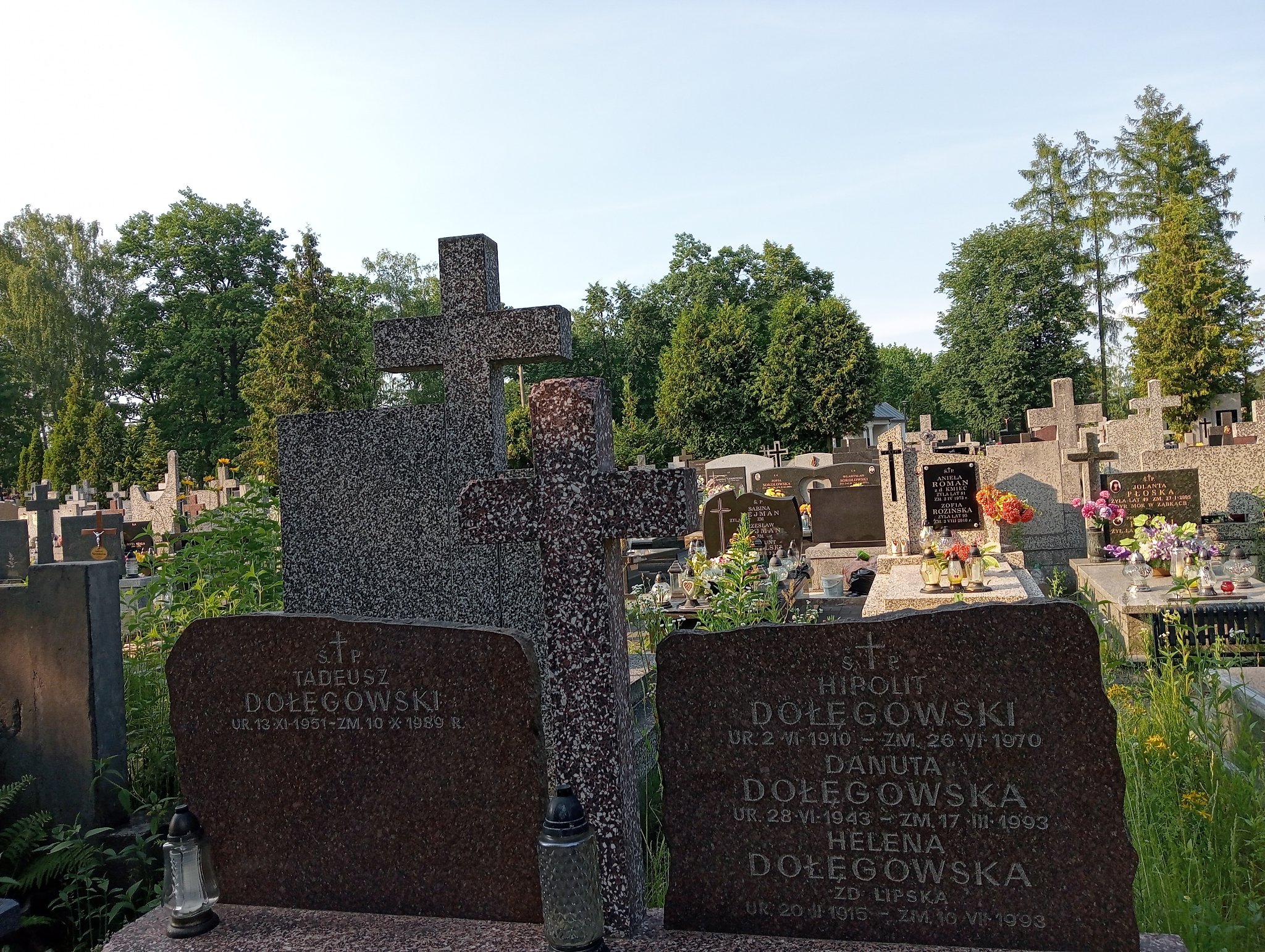 Jolanta Dołęgowska 1951 Zielonka - Grobonet - Wyszukiwarka osób pochowanych