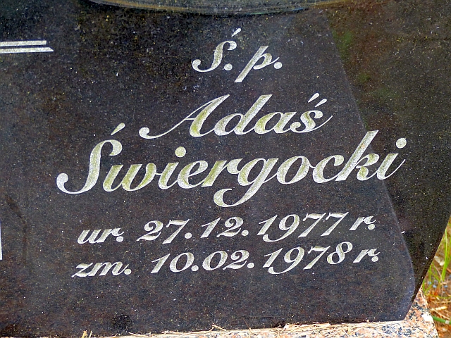 Grób Adam Świergocki