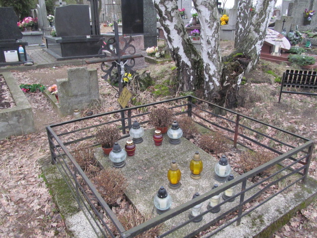 Maria Sarnowska Zielonka - Grobonet - Wyszukiwarka osób pochowanych