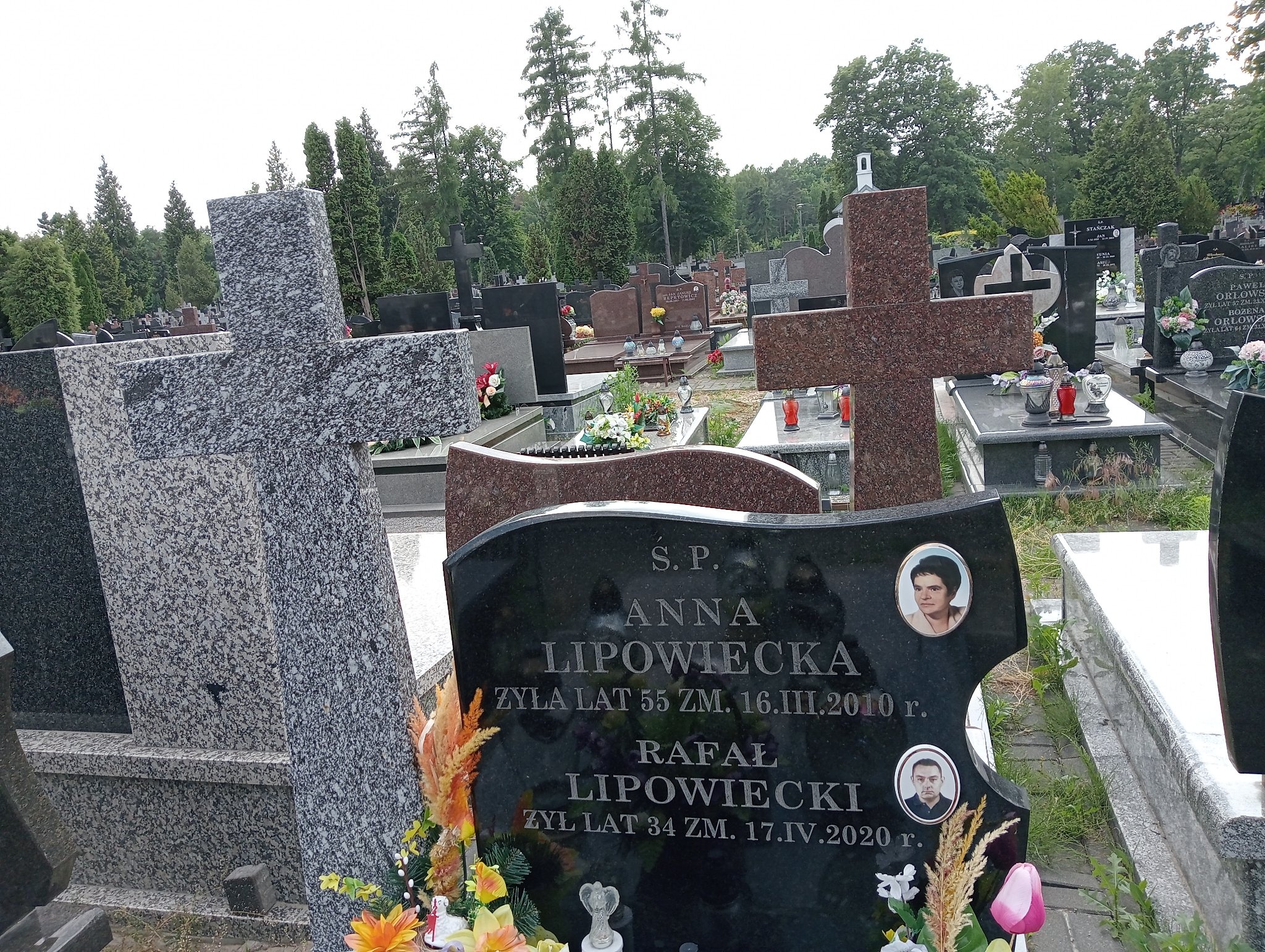 Władysław Lipowiecki 1956 Zielonka - Grobonet - Wyszukiwarka osób pochowanych