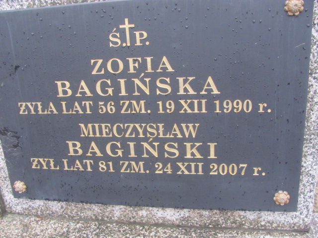 Mieczysław Bagiński Zielonka - Grobonet - Wyszukiwarka osób pochowanych