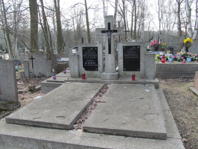 Grób Anna Korc