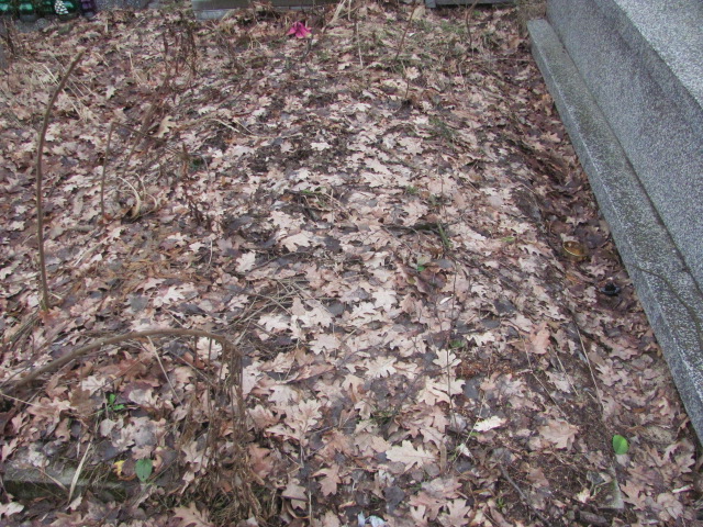 Zbigniew Wójcik 1939 Zielonka - Grobonet - Wyszukiwarka osób pochowanych