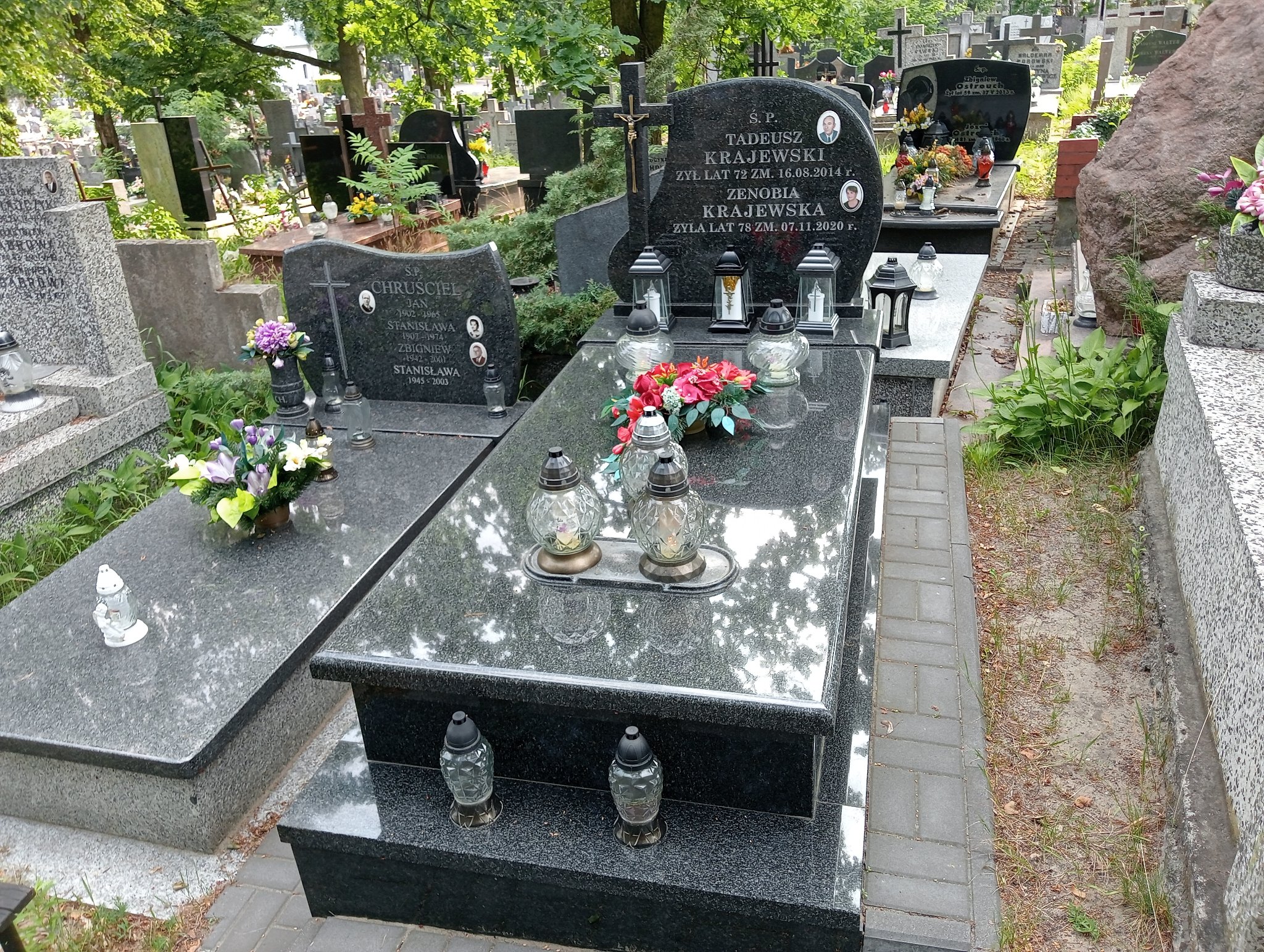 Grób Tadeusz Krajewski