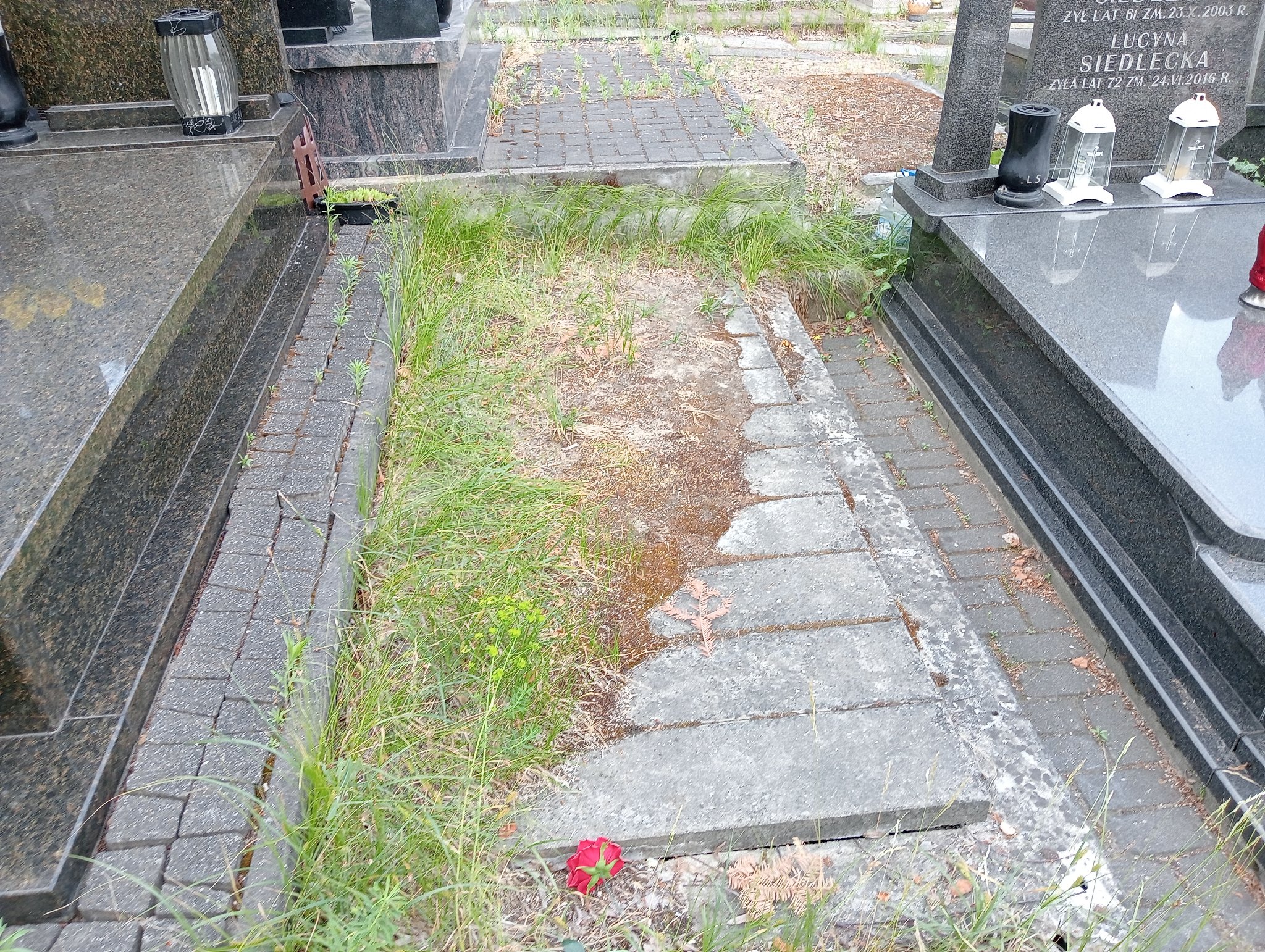 Grób Elżbieta Podobas